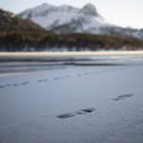 Des chutes de neige en altitude pendant l'été se produisent tous les deux à trois ans en Suisse (archives).